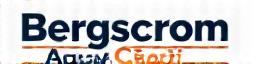 Bergström AquaCraft Logo